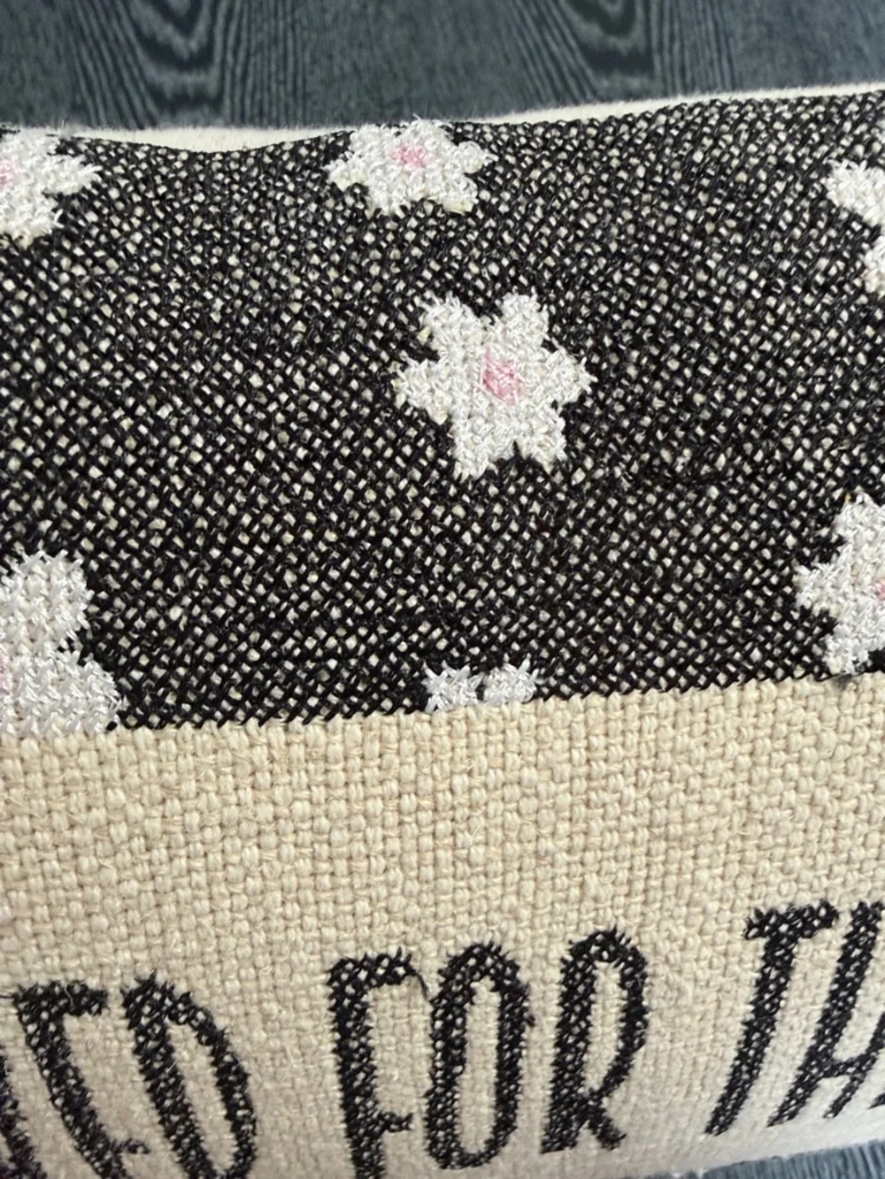 Reserved For The Dog-Black, Cream, Pink Floral Accent Pillow